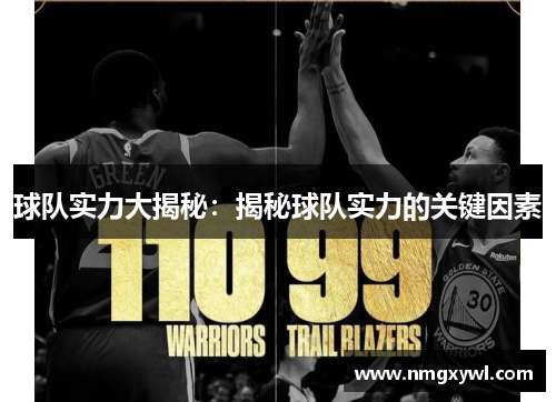 球队实力大揭秘：揭秘球队实力的关键因素